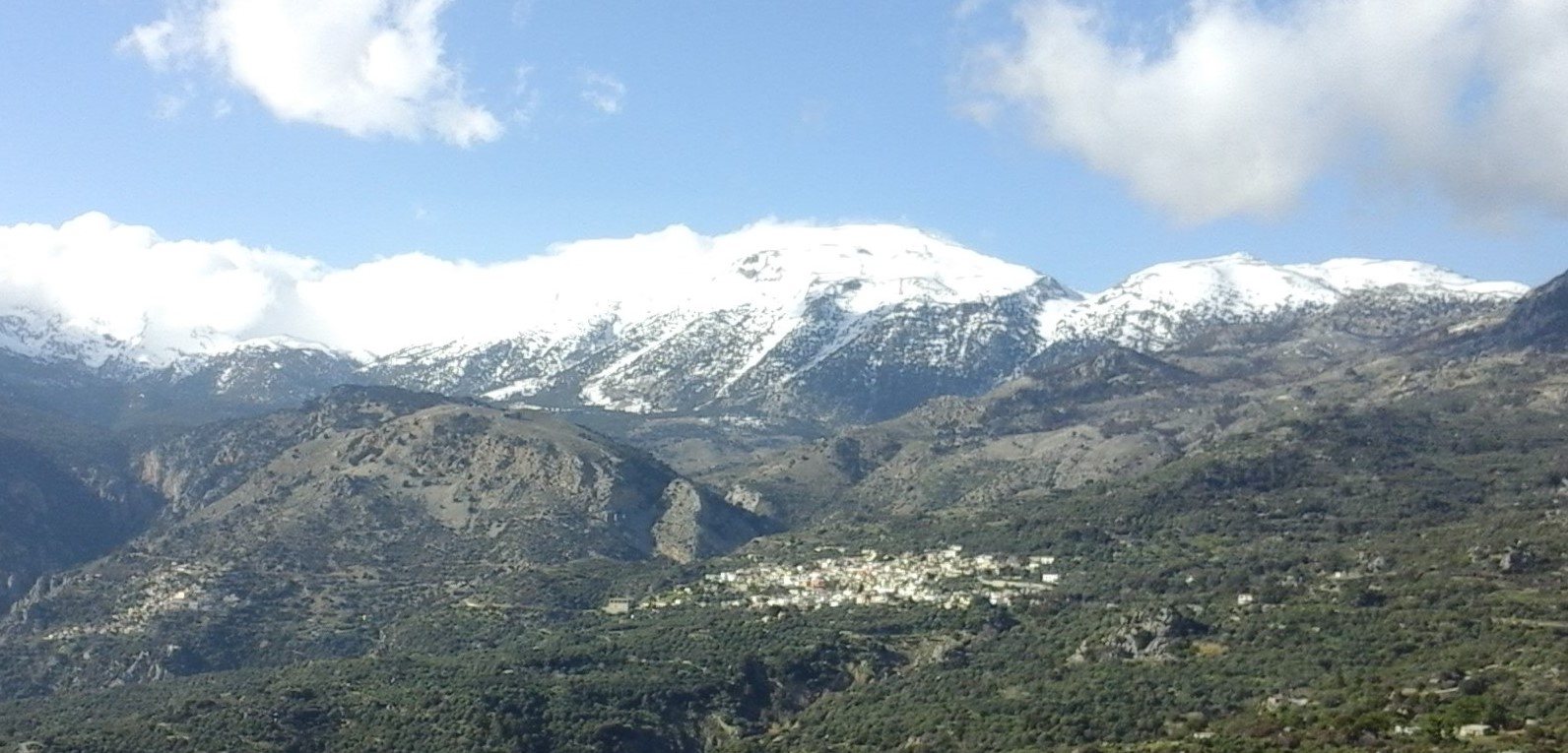 ΑΓΡΟΤΙΚΟΣ ΣΥΝΕΤΑΙΡΙΣΜΟΣ ΜΑΛΛΩΝ